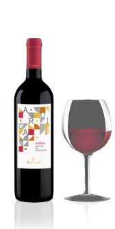 Auriga - Sangiovese di Romagna