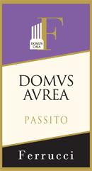 domus-aurea