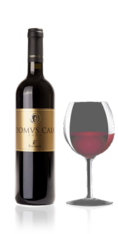 Domus Caia - Sangiovese di Romagna